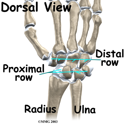 Physical Therapy in Northern Virginia for Wrist Kienbock s Disease